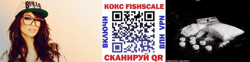 где купить наркоту  Салават  COCAIN Fish Scale 