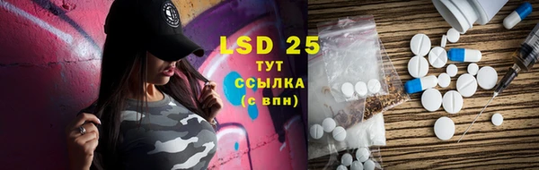 прущие грибы Алексин