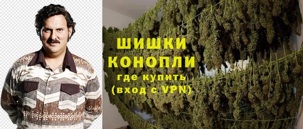 прущие грибы Алексин